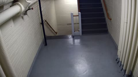 3891FHOB05Stair4_2021-01-05_17h40min02s507ms.mp4