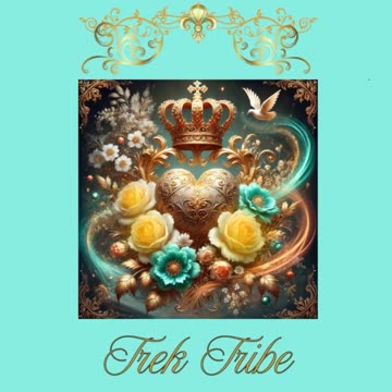 LIVE WITH TRESSY TONIGHT ON TELEGRAM