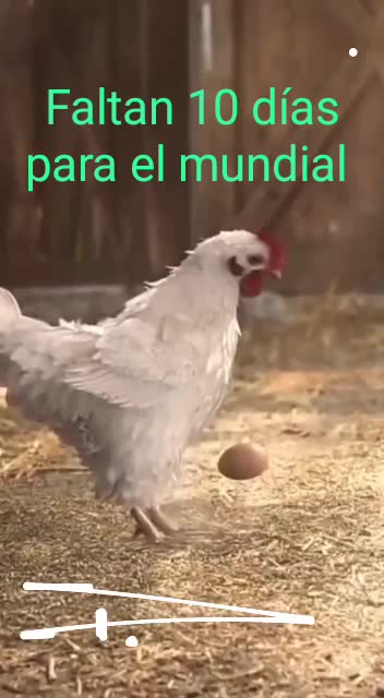 Faltan El Mondial- The World Cup is missing