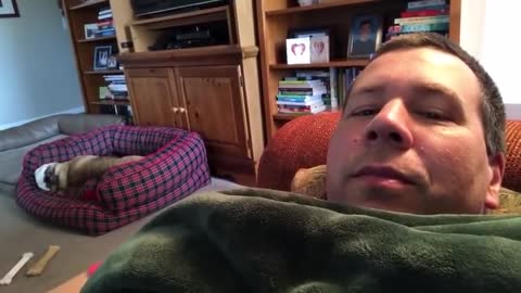 Dog Has A Loud Reaction When His Couch Privileges