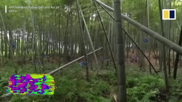 La tecnocrazia cinese in piena fioritura: branchi di droni a caccia di esseri umani