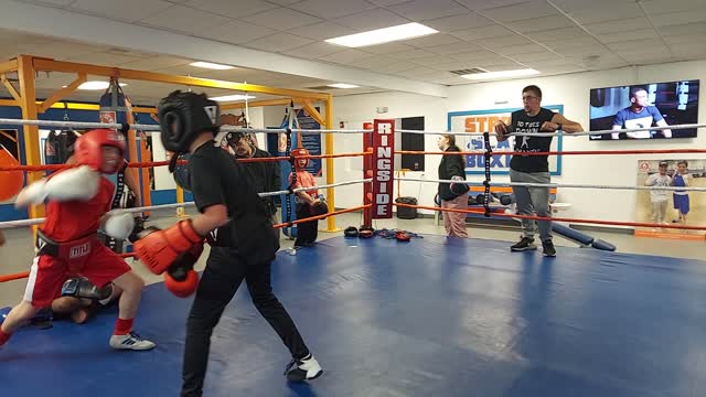 Joey boxing Dylan 3. 4/12/22