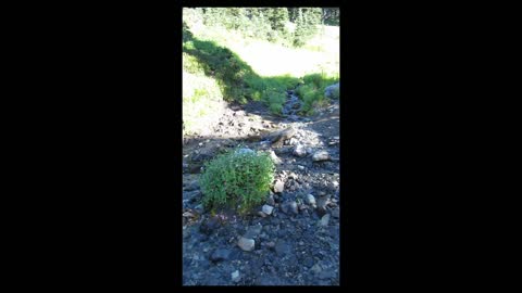 August 2016 Black Tusk Climb 3