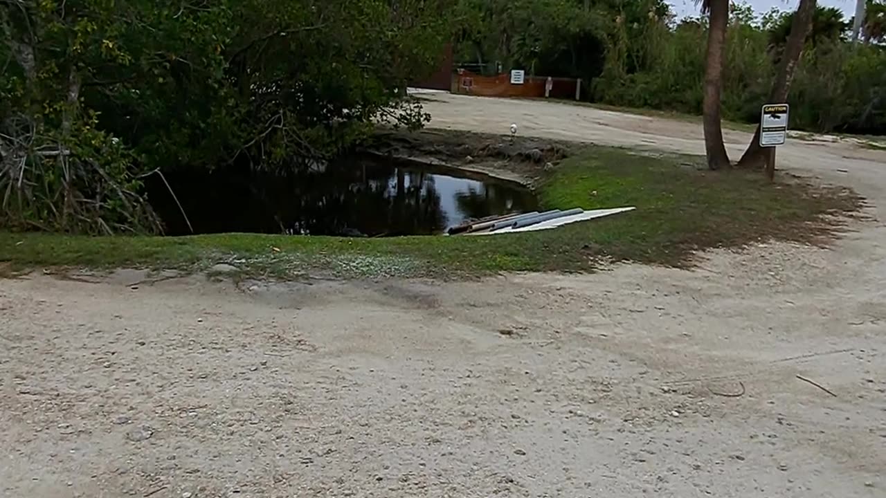 Alligators and Uncle Ray usually don't get along too well. 12/15/23 Fl