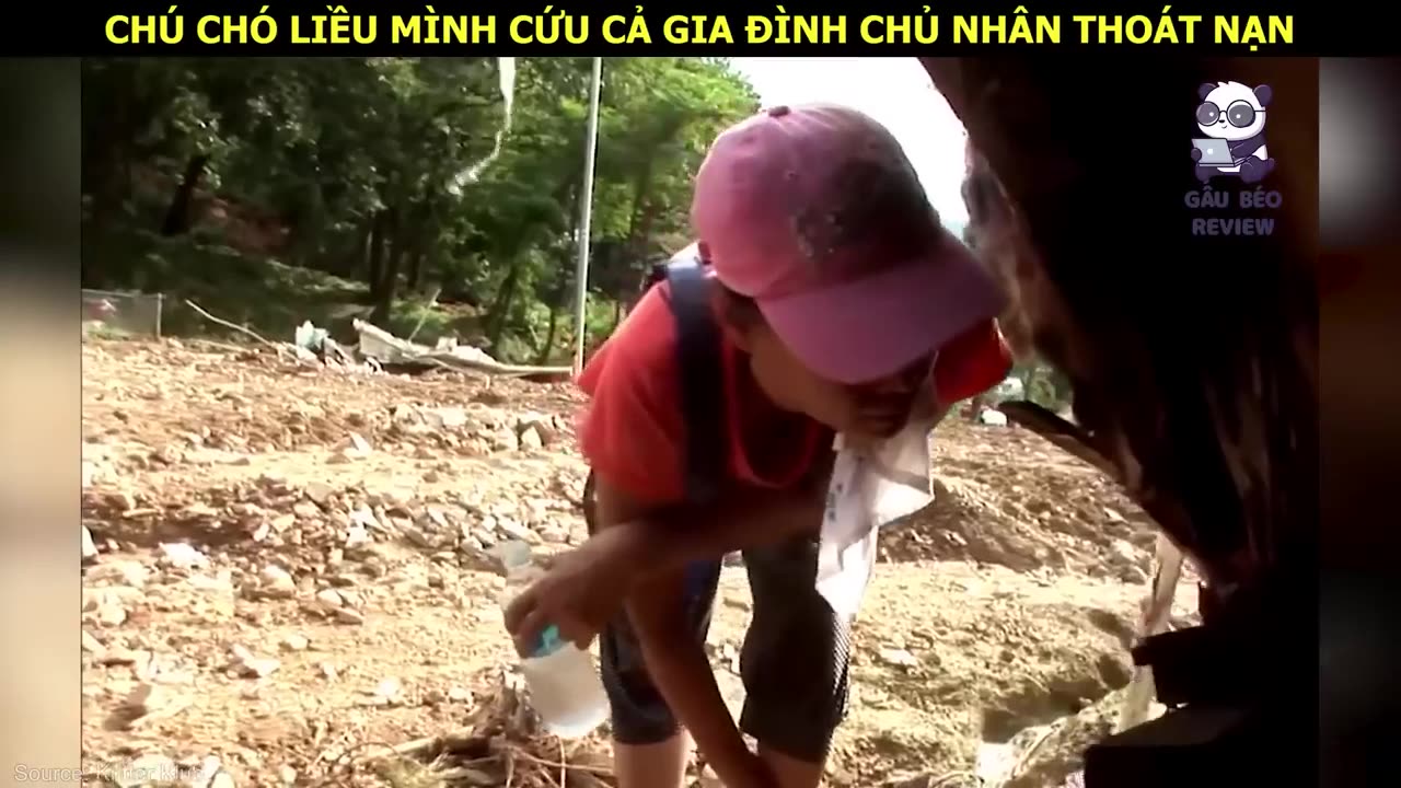 Giải Cứu Chó Mẹ Cùng Đàn Con Bí Mật Sống Trong Hang __ Review Con Người Và Cuộc Sống (P29)