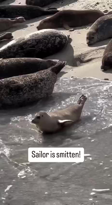 Look ma, I am floating 😊😊😊