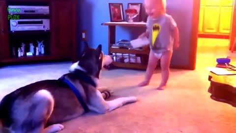 Funny cats , Dogs and babies playing together - Cute Dog & cat & baby compilation Dogs life