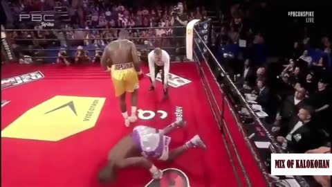 Best Funny Moments In Boxing and knockouts