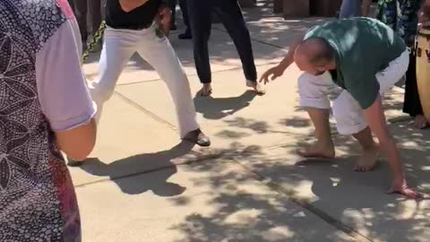 Capoeira-Art in the Park at Libbey Park