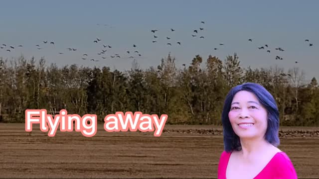 Flying away