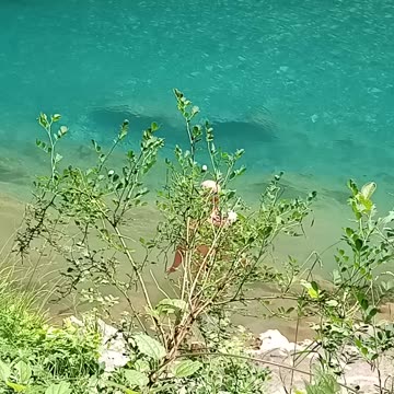 Balkán csapatás 42 - Fürdő a Tarában