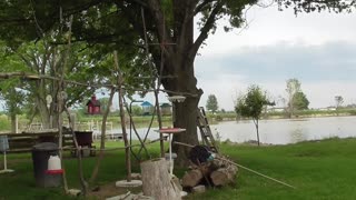 17 Toussaint Wildlife - Oak Harbor Ohio