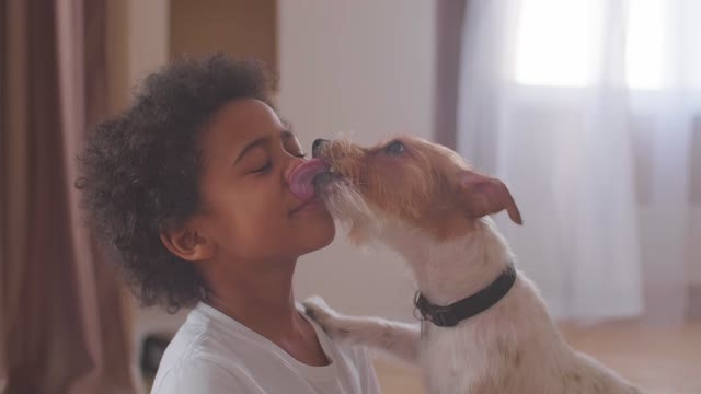 Cute puppy and girl love | So Innocent