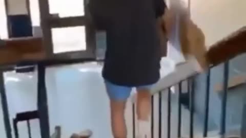 Funny Video, funny clips,fun time