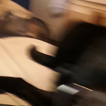 Lol awe so cute kdkd