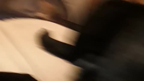 Lol awe so cute kdkd