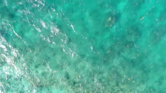 Epstein's Pedo Island 12