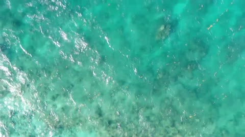 Epstein's Pedo Island 12