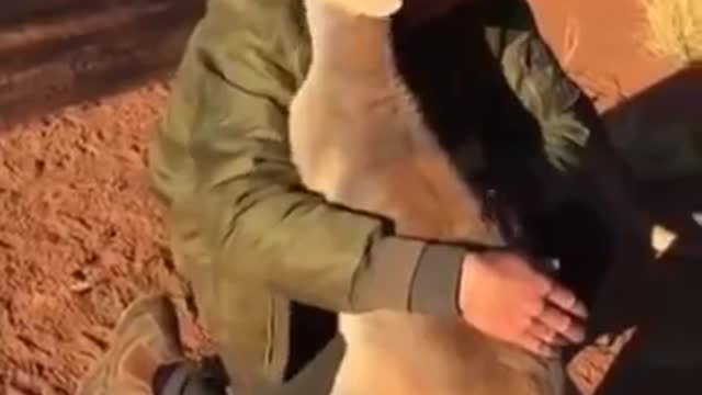 Animals Showing Love to Human Who Saved Them