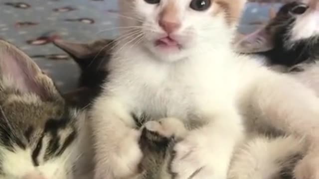 "You like what you're seeing?"