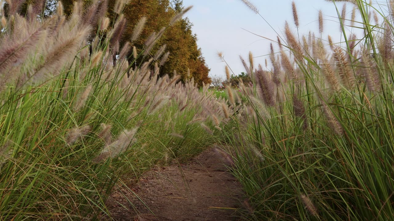 I go for a walk in nature before fall comes