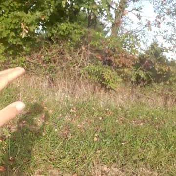 The wonders of modern technology, truly a love HATE relationship