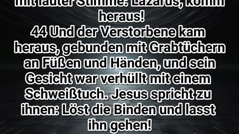 Losung & Lehrtext 281024