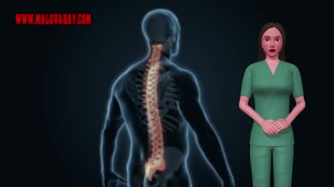 Mals Market Videos Back Pains Serviced Chiropractic In Bourbonnais