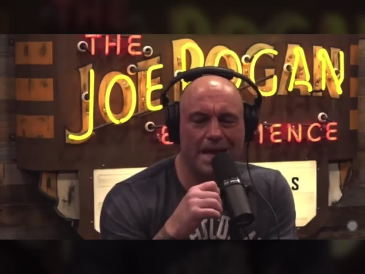 Joe Rogan: Kayleigh McEnany is the Michael Jordan of White House press secretary.