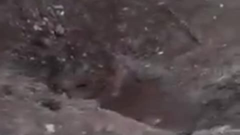 Consequences of night shelling in the city of Druzhkivka, Donetsk region