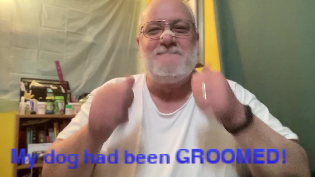 My Dog Had Been Groomed!