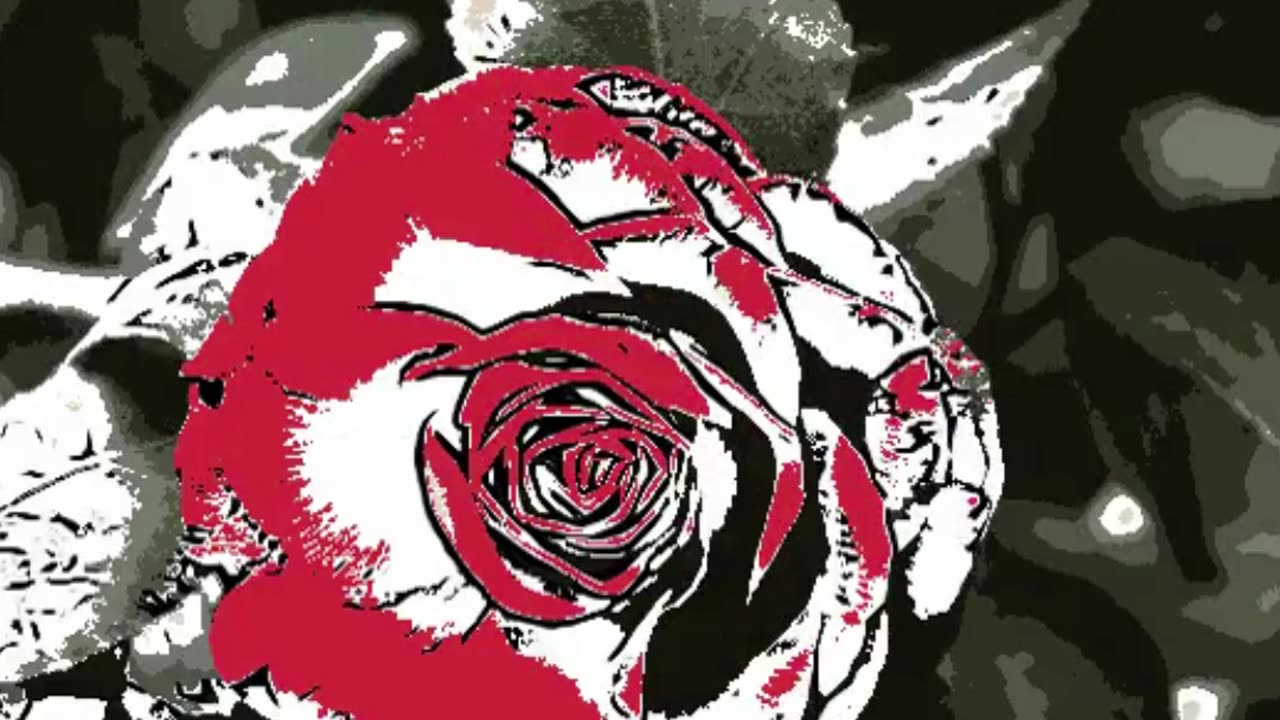 How to Sketch a Rose Step-by-Step Tutorial