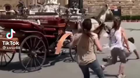 horse stressing in the city
