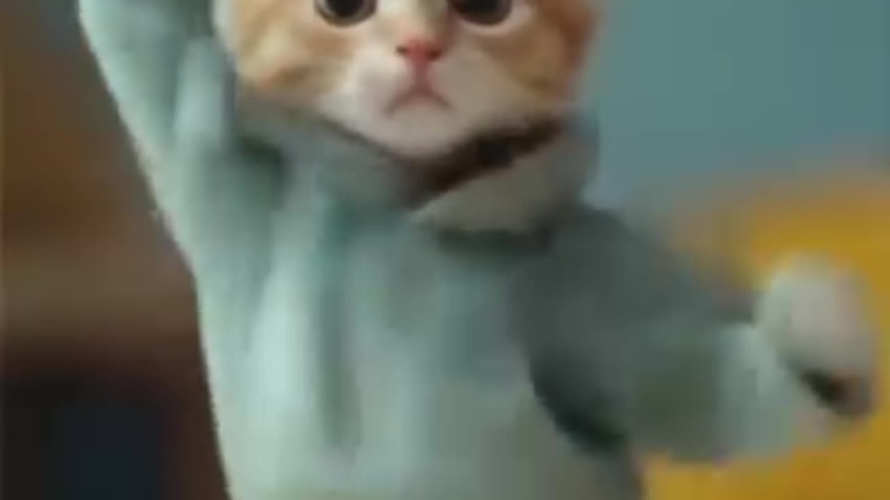 Kitten's Famous Dance