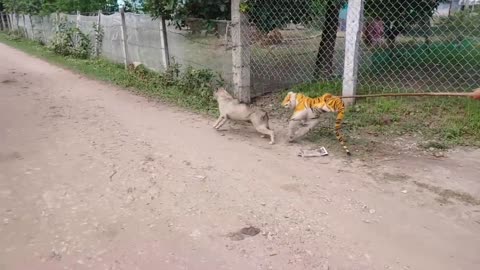 WOW Nice Prank! Fake Tiger Prank Dog Run Funny Action 21