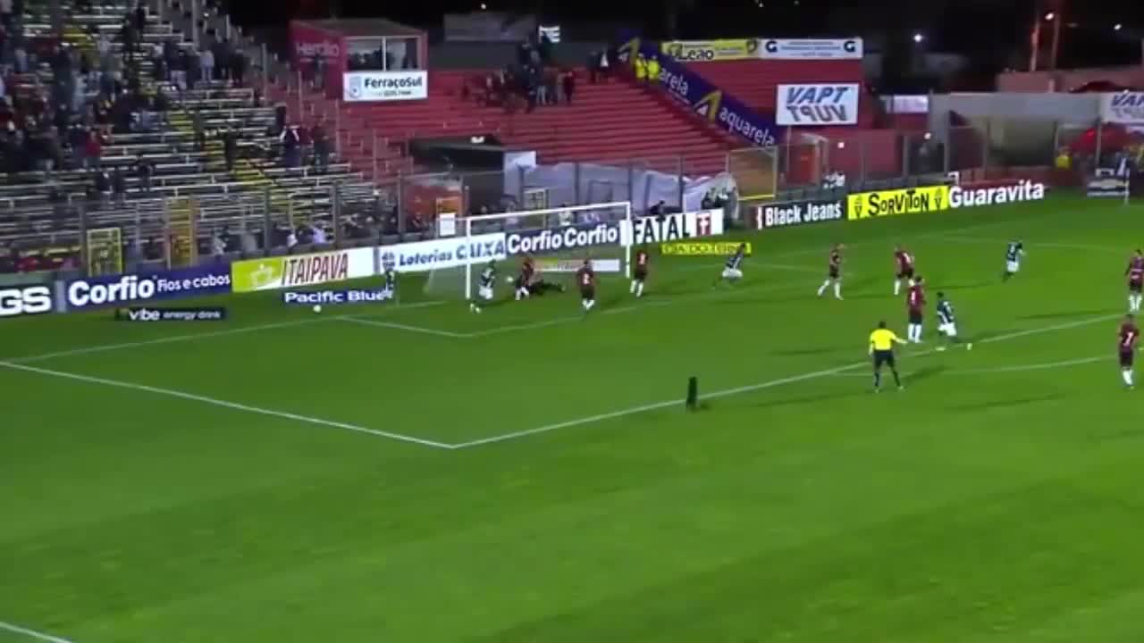 Dog Runs On Football Pitch When Goal Scored ππ