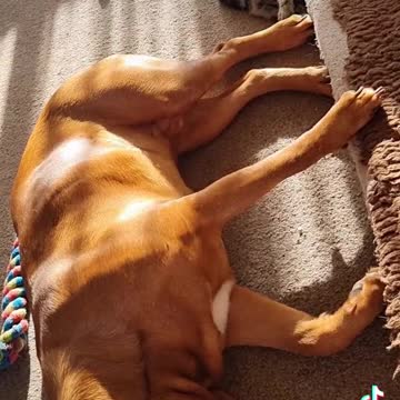 When you have an annoying lil brother