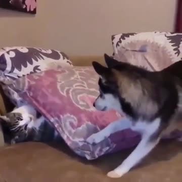 When you wanna take a nap but