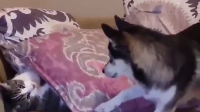 When you wanna take a nap but