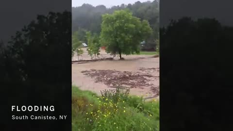 Tropical Storm Debby floods southern NY town, sweeps away trees, structures