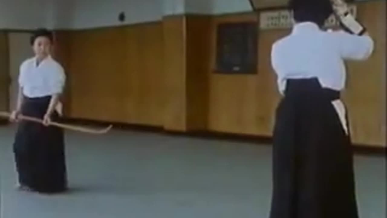 The Way of the Warrior: Aikido and Kendo, The Sporting Way