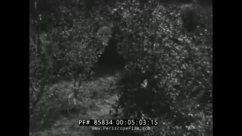 WWII ARMY GROUND FORCES TRAINING FILM