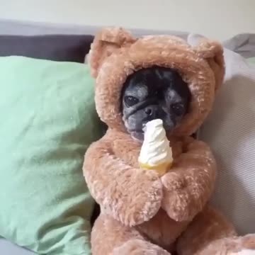 When_you_really_love_ice_cream_🍦☺️💖