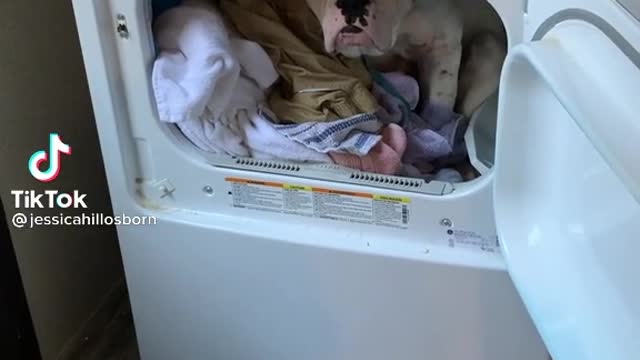 Get out the dryer