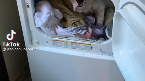 Get out the dryer