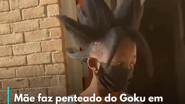 Goku's hair.