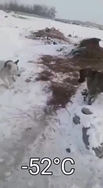 Global Warming In Kazakhstan