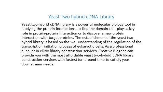 Yeast Two-hybrid cDNA Library