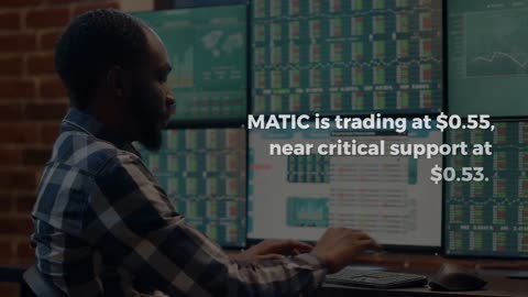 Polygon (MATIC) Price Recovery: These Investors Hold the Key