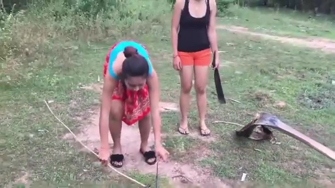 WOW AMAZING beautiful girl COOKING SNAKE IN CAMBODIA